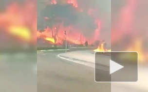 В Анталье зафиксировали крупные лесные пожары