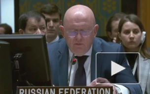 Россия предложила расширить мандат миротворцев ООН на Ближнем Востоке