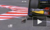 Птица на Формуле-1