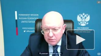 США и Россия обменялись цитатами Мартина Лютера Кинга на заседании Совбеза ООН