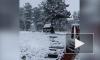 В Хакасии и Алтае в выходные выпал снег