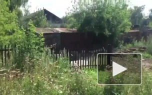 СК показал видео из дома похитителя 12-летней школьницы из Бийска 