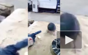 Суровый челябинский голубь напал на мужчину