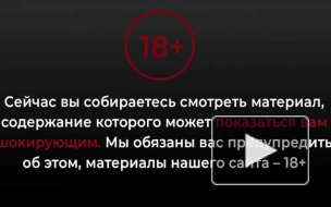 Появилось видео, как на строителя упала корзина с кирпичами в Петербурге