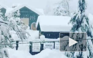 Снегопад в Красной Поляне побил все рекорды (видео)