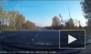 В Ленобласти лось перебежал дорогу прямо перед водителем и попал на видео