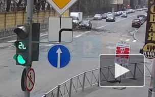 Видео: на Киевской улице на машину упало дерево