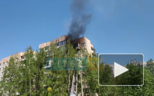 Видео: на Ваське горит квартира на седьмом этаже