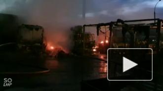 Появилось видео жуткого пожара на улице Книпович