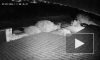 Взрыв метеорита в небе над Кипром засняли на видео