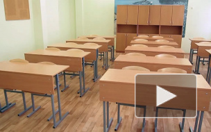 В 369 лицее Петербурга — вспышка кишечной инфекции, есть госпитализированные