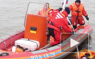 Кровожадный белорус убил поленом жителя Лахты и утопил труп в разливе