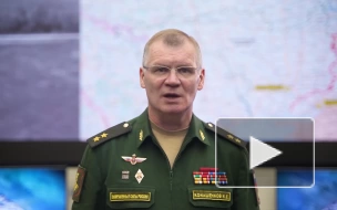 Минобороны: ВС России уничтожили около 260 украинских военных на Донецком направлении