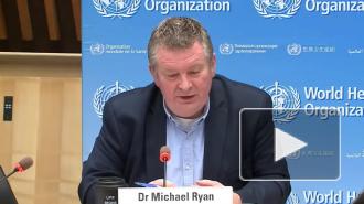 В ВОЗ выдвинули теорию о нескольких нулевых пациентах с коронавирусом