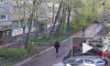 Кража мобильного телефона на Дыбенко попала на видео 