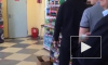 В сети появилось видео: конь забрел в магазин за покупками