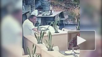 Обокравшего кафе в Сочи туриста сняли на видео