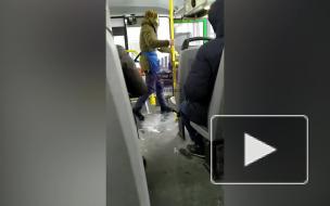 В Красноярске кондуктор пинками выгнала пассажирку из автобуса
