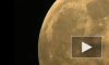 Суперлуние 10 августа - земляне увидят необычно яркую и крупную луну