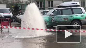 Видео: из колодца на Бухарестской забил фонтан воды