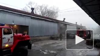 В Екатеринбурге сгорел террариум с рептилиями