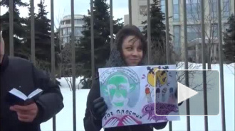 Полиция разогнала пикеты в поддержку Pussy Riot