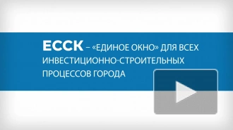 В Петербурге в ЕССК обрабатывают более 7 тысяч заявлений в месяц