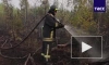 Пожары в Рязанской области не затронули торфяники
