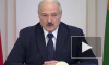 Лукашенко не проходил тест на коронавирус