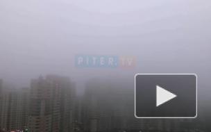 В Петербурге заметили густой туман 