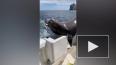 Опубликовано видео, как морской лев запрыгнул в лодку ...