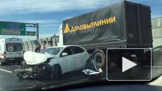На КАД легковушка врезалась в отбойник