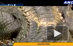 Самый большой в мире крокодил-убийца умер на Филиппинах