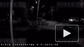 В Приморском районе Петербурга неизвестные подожгли автомобиль