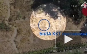 Группировка "Восток" по дрону выследила и уничтожила пункт управления БПЛА ВСУ