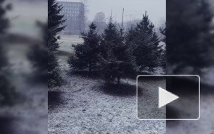 Петербуржцы удивились первому снегу в 2020 году 