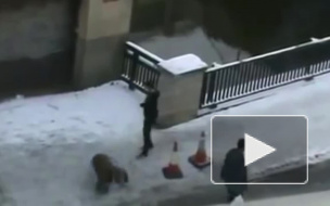 За неделю 350 петербуржцев стали жертвами гололеда