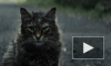 Опубликован пугающий и зловещий трейлер "Кладбища домашних животных" по Стивену Кингу