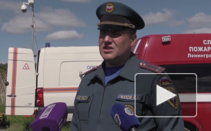 Учения по ликвидации последствий ДТП прошли на трассе М-10 "Россия" 