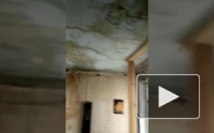 На Невском проспекте в доме без кровли дождь затопил квартиры