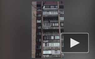 Видео: петербуржец передумал выходить в окно из многоэтажки на Художников