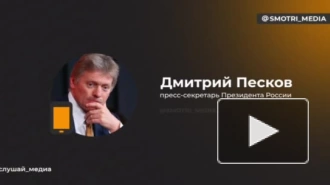 Песков: обвинения во вмешательстве России в выборы Грузии голословны