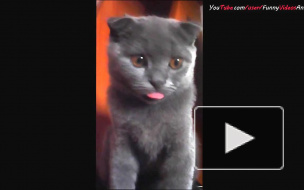 Разминка языка)