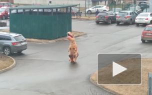 Житель Всеволожска вынес мусор в костюме динозавра 