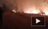 В Карталинском районе Челябинской области объявили режим ЧС из-за лесных пожаров