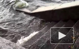 Поднявшаяся вода в Неве затопила спуски к набережным