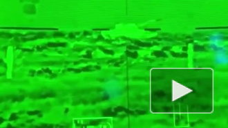 Птица сбила американскую ракету во время учений