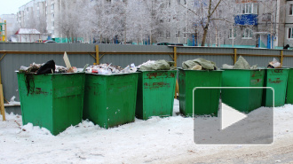 В Сургуте в мусорном контейнере обнаружено тело младенца