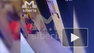 В Новосибирске бойцовская собака напала на школьника в подъезде