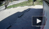 Опубликовано видео смертельного наезда БМВ на 11-летнего мальчика на переходе под Нижним Новгородом